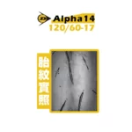 DUNLOP 登祿普輪胎 ALPHA14 120/60-17-02
