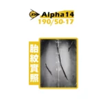 DUNLOP 登祿普輪胎 ALPHA14 190/50-17-02