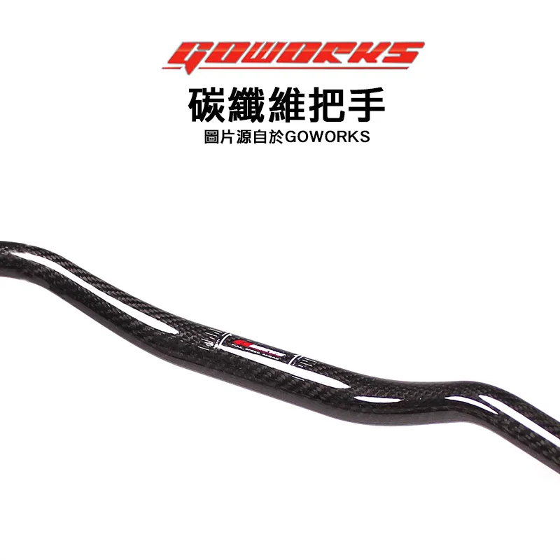 Goworks 佐騰國際 碳纖維把手 3K斜紋 粗把手 車把手 通用款